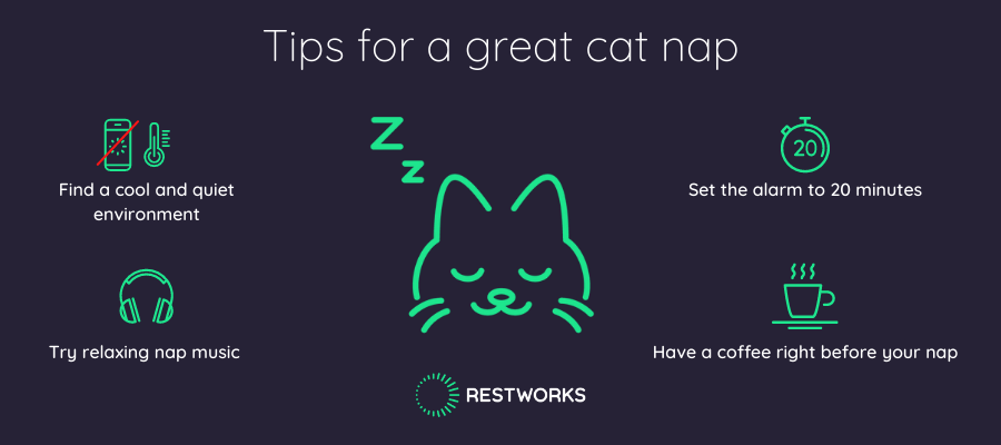 cat nap tips