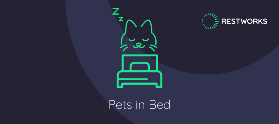 pets in bed