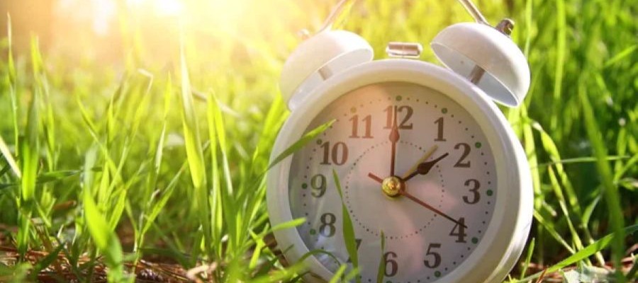 A clock is nestled in grass outside with sunlight shining behind it.