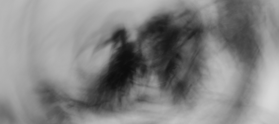 An abstract black and white image that might be a crow or shadows but regardless, invokes a feeling of dread.
